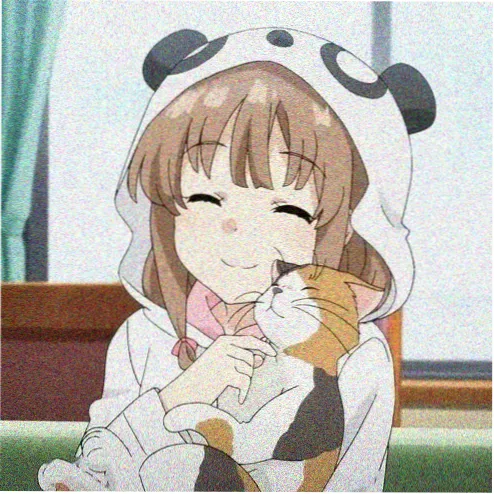 胶片爱好者